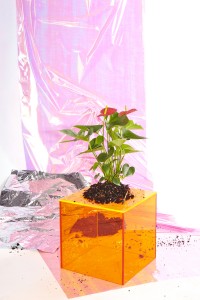 plants and marin face paint 1 EDIT