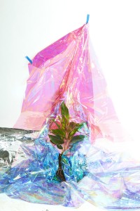 plants and marin face paint 5 EDIT